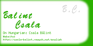balint csala business card