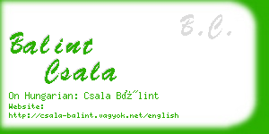 balint csala business card